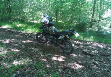 Excursión Motocross Issoire - Sortie Ally avec cailloux et Olivier - Photo