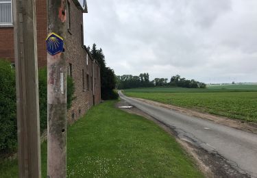 Tour Wandern Binche - Binche 20 km - Photo