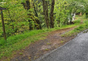 Trail Walking Aubazines - Reco-Lac de Coiroux-2024-04-25 - Photo