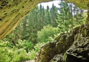 Tocht Te voet Pottenstein - Haßlacher Rundwanderweg - Photo