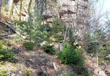 Tocht Stappen Walscheid - Walscheid Col du Melkplatz - Photo