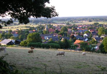 Tocht Te voet Lübbecke - A2 Lübbecke-Gehlenbeck - Photo