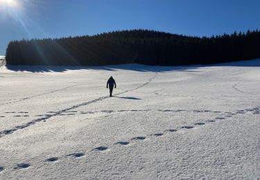 Tour Wandern Besse-et-Saint-Anastaise - Pealat. 2 - Photo