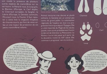 Trail Walking Guillaumes - amen bof - Photo
