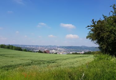 Tocht Stappen Luik -  Jupille-sur-Meuse - Photo