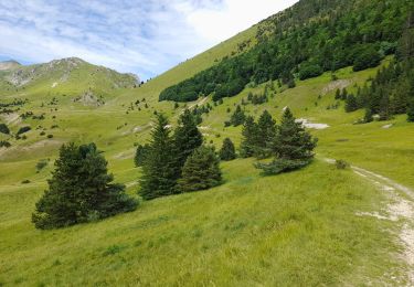 Trail Walking Lus-la-Croix-Haute - Col de Chante - Jajere Lus la Croix Haute - Photo