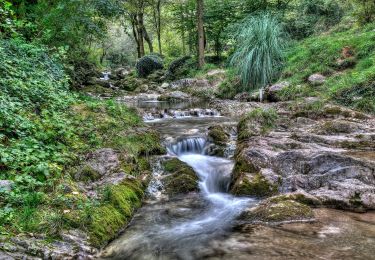 Tocht Te voet Sale Marasino - Gardone Val Trompia - Punta Almana - Photo