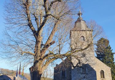 Tocht Stappen Assesse - rando crupet 14 -01-2022 - Photo