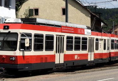 Randonnée A pied Hölstein - Hölstein-Langenbruck - Photo