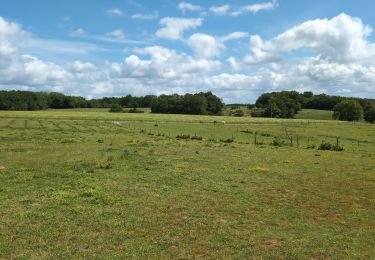 Excursión Senderismo Lignières-de-Touraine - Lignières-de-Touraine - Zig zag Château de l'Islette - 25.9km 365m 5h30 (30mn) - 2024 05 26 - Photo
