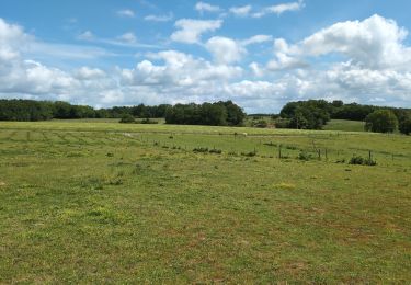 Tour Wandern Lignières-de-Touraine - Lignières-de-Touraine - Zig zag Château de l'Islette - 25.9km 365m 5h30 (30mn) - 2024 05 26 - Photo