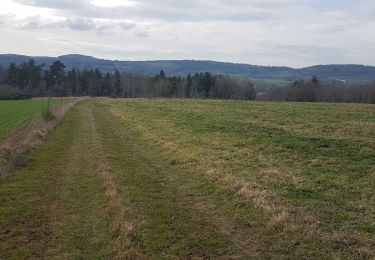 Tocht Stappen Saint-Pierre-le-Chastel - bannieres - Photo