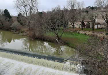 Tour Wandern Barbaste - Cauderoue Ste Catherine Cauderoue - Photo