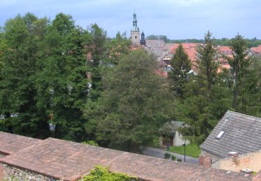 Tour Zu Fuß Bad Belzig - Terrainkurweg 07 Bad Belzig - Photo