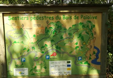 Trail Walking Les Vans - sentier du bois de païolive - Photo