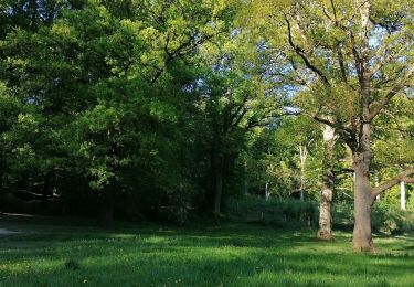 Tocht Stappen Tervuren - Forêt de Soigne Tervuren - Photo