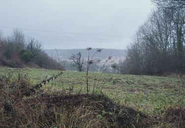 Tour Wandern Saulny - lorry - Photo