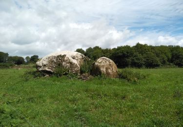 Trail Walking Plounéour-Ménez - PLONÉOUR MENEZ - Photo