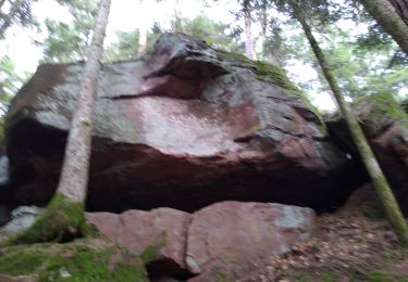 Excursión Senderismo Mortagne - Les jumeaux - Photo