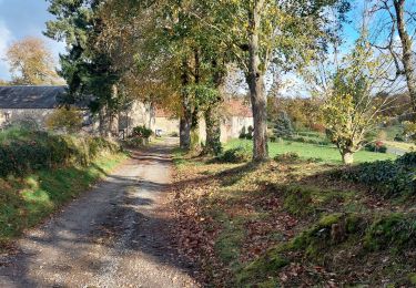 Percorso Marcia Folles - Puy Gerbon 6 - Photo