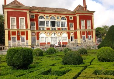 Tour Zu Fuß São Domingos de Benfica - Montado de Monsanto - Photo