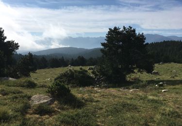 Excursión Senderismo Les Angles - Lac d’Aude - Photo