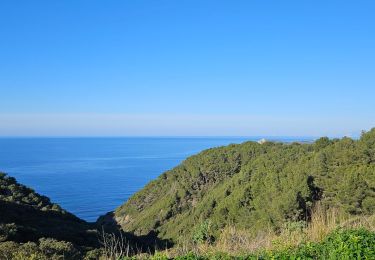 Excursión Senderismo Six-Fours-les-Plages - Notre Dame du Mai - Photo