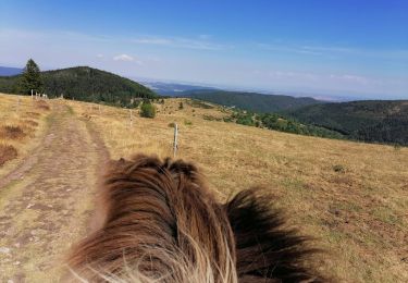 Tour Reiten Mollkirch - Pique nique au Hohbuhl avec Claire et Corine - Photo