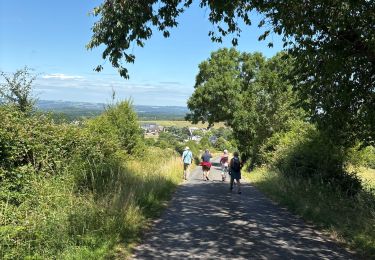 Trail Walking Hotton - Ménil Favay - Photo