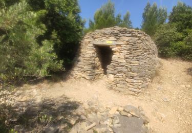 Trail Walking Aramon - Aramon - Capitelles Court - Photo