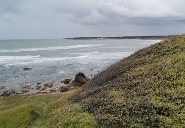 Percorso Mountainbike Jard-sur-Mer - sortie pointetrucmuch - Photo