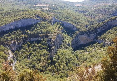 Trail Walking Monieux - gorges de la nesque - Photo