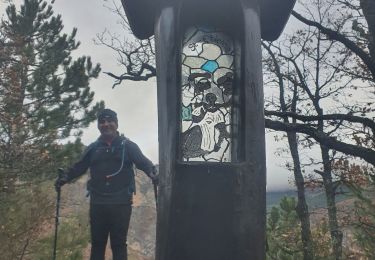 Trail Walking Chaudon-Norante - 2024-12-06 Col des Chandres  - Photo