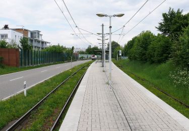 Percorso A piedi Ludwigsburg - Ludwigsburg - Aldingen - Photo