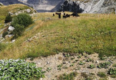 Trail Nordic walking Arbaz - Rawil  - Photo