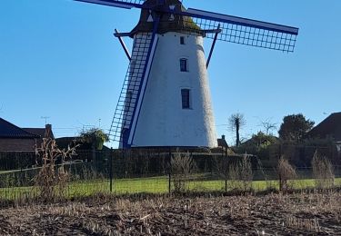 Tocht Stappen Steenput - Leurs et alentours  - Photo