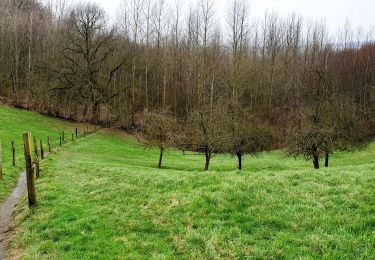 Excursión Senderismo Frasnes-lez-Anvaing - Montroeul-au-Bois - Photo