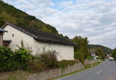 Trail On foot Altenthann - T 7 Forstmühle - Bach/Do. - Photo