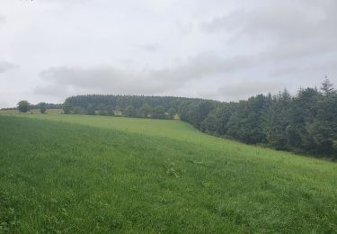 Tocht Stappen Fauvillers - rando tintange 28/09/2021 - Photo