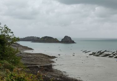 Excursión Senderismo Saint-Méloir-des-Ondes - de st meloir des ondes jusqu'à Cancale par la côte - Photo