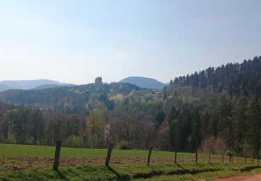 Tour Wandern Lembach - Grimbelhof Fleckenstein  - Photo