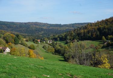 Tocht Stappen Le Hohwald - Le Hohwald Grande Bellevue Cascade de l'Andlau - Photo