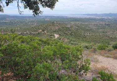 Tocht Stappen Fréjus - Laigre - Photo