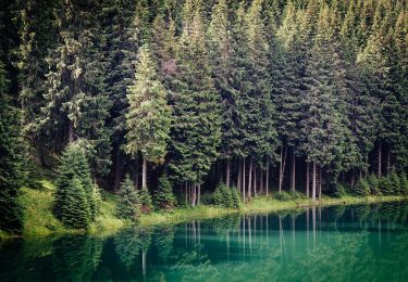 Percorso A piedi  - Șaua Tătaru - Lacul Bolboci - Photo