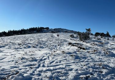 Randonnée Marche La Valla-en-Gier - Crêt de la perdrix  - Photo