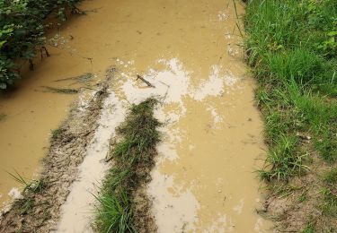 Randonnée Marche Ger - balisage 8km Géroise 2025 - Photo