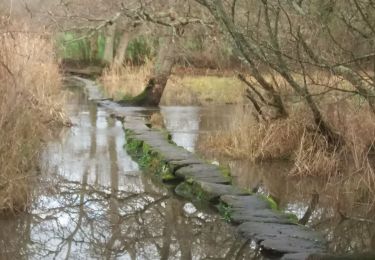 Tour Wandern Saint-Lyphard - boucle chaumières et marais - Photo