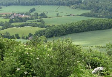 Trail On foot  - Marcle Ridge Circular Walk - Photo