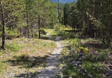 Trail Walking Val-des-Prés - tour de Dormillouse - Photo