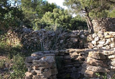 Excursión Senderismo Roquefort-des-Corbières - Roquefort des corbières  - Photo